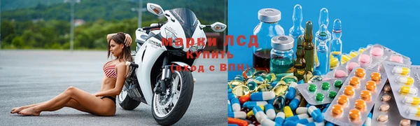 прущие грибы Гусиноозёрск