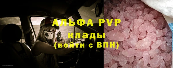 прущие грибы Гусиноозёрск