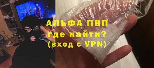 прущие грибы Гусиноозёрск