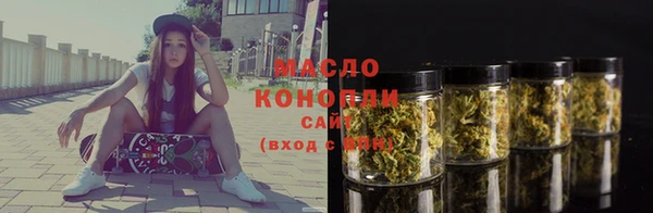 прущие грибы Гусиноозёрск
