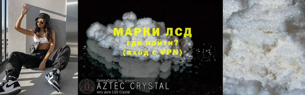 прущие грибы Гусиноозёрск