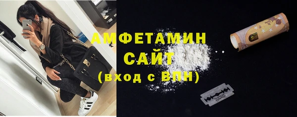 прущие грибы Гусиноозёрск