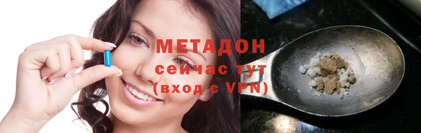 прущие грибы Гусиноозёрск