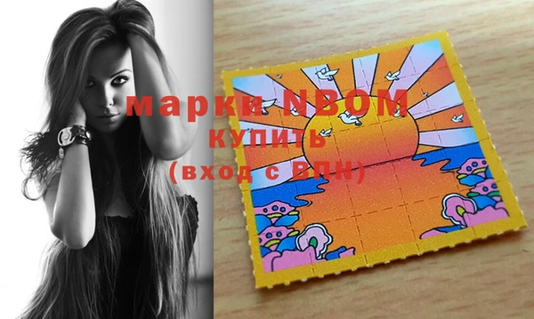 прущие грибы Гусиноозёрск