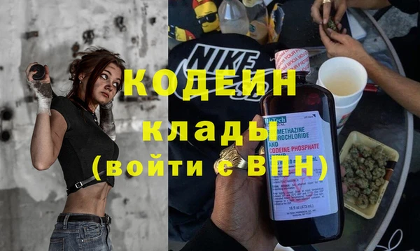 прущие грибы Гусиноозёрск