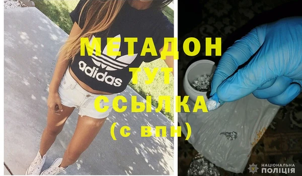 прущие грибы Гусиноозёрск