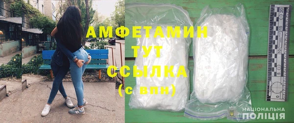 прущие грибы Гусиноозёрск