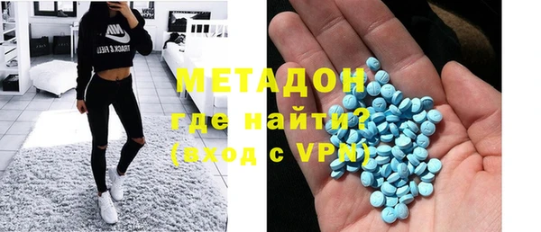 прущие грибы Гусиноозёрск