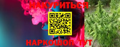 крисы Северобайкальск