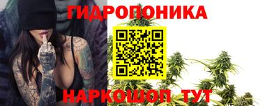 jwh Свободный