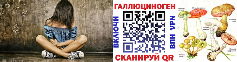 Псилоцибиновые грибы Psilocybe  Хасавюрт 
