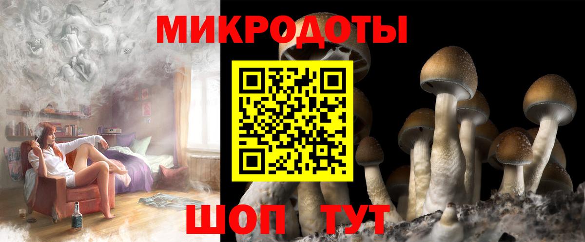 Хасавюрт  Галлюциногенные грибы ЛСД  Вход с VPN 