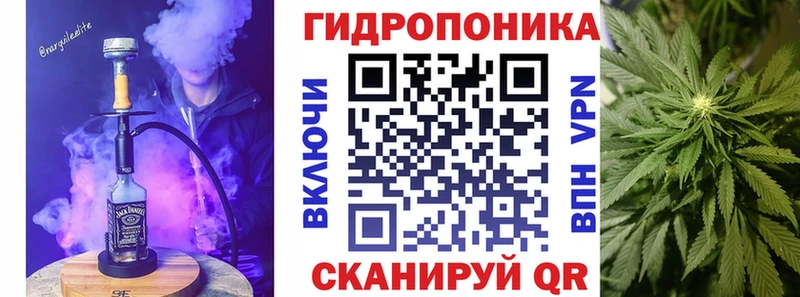 Канабис SATIVA & INDICA  Хасавюрт 